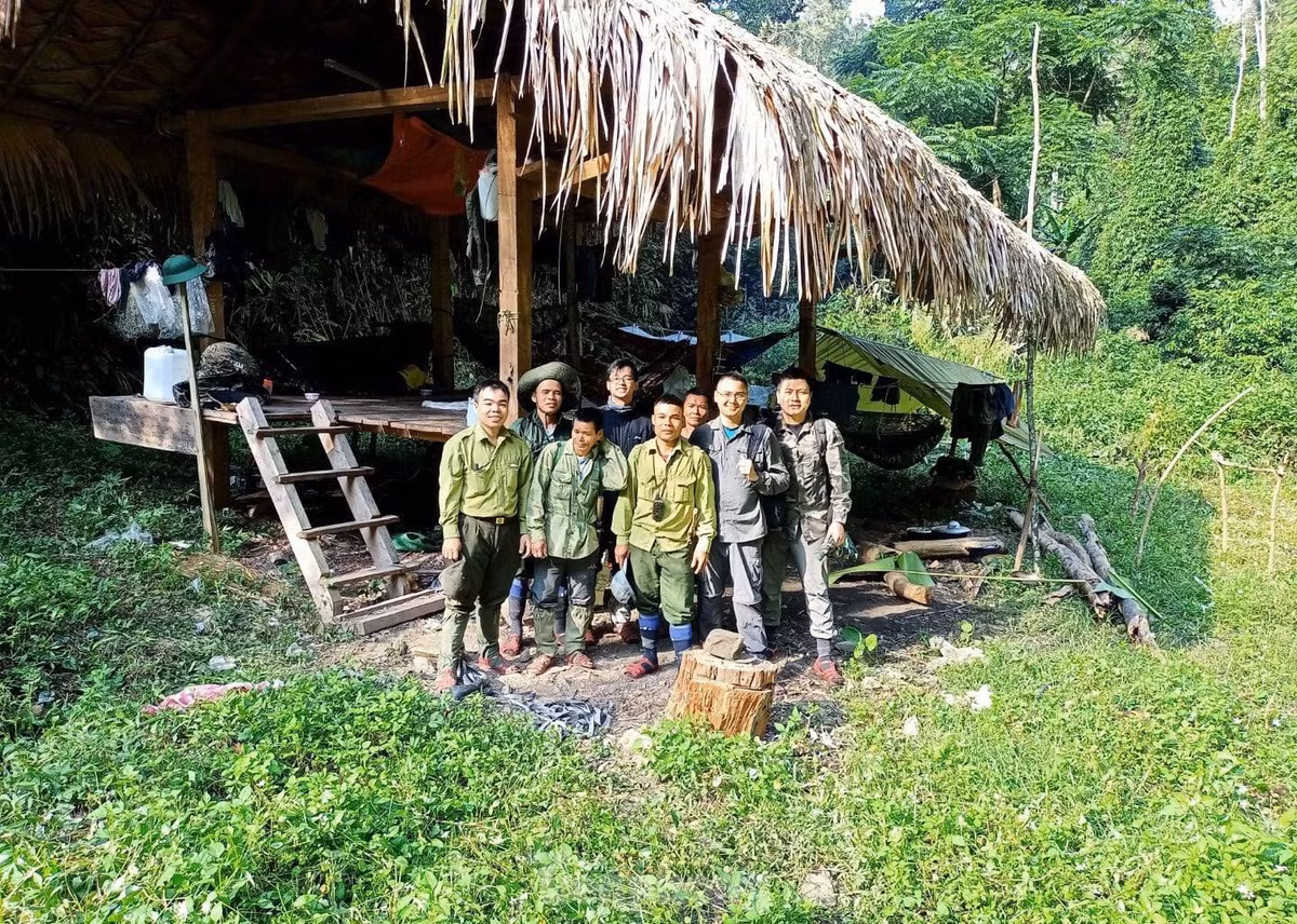 Trước nguy cơ bị suy giảm bởi các hoạt động khai thác tài nguyên rừng bất hợp pháp, khu hệ động vật rừng đang bị suy giảm bởi hoạt động săn bắt của người dân, chương trình "Ứng dụng khoa học và công nghệ nhằm nâng cao hiệu quả công tác quản lý và bảo tồn tài nguyên động vật hoang dã tại Vườn Quốc gia Pù Mát" đã được triển khai sau đó.