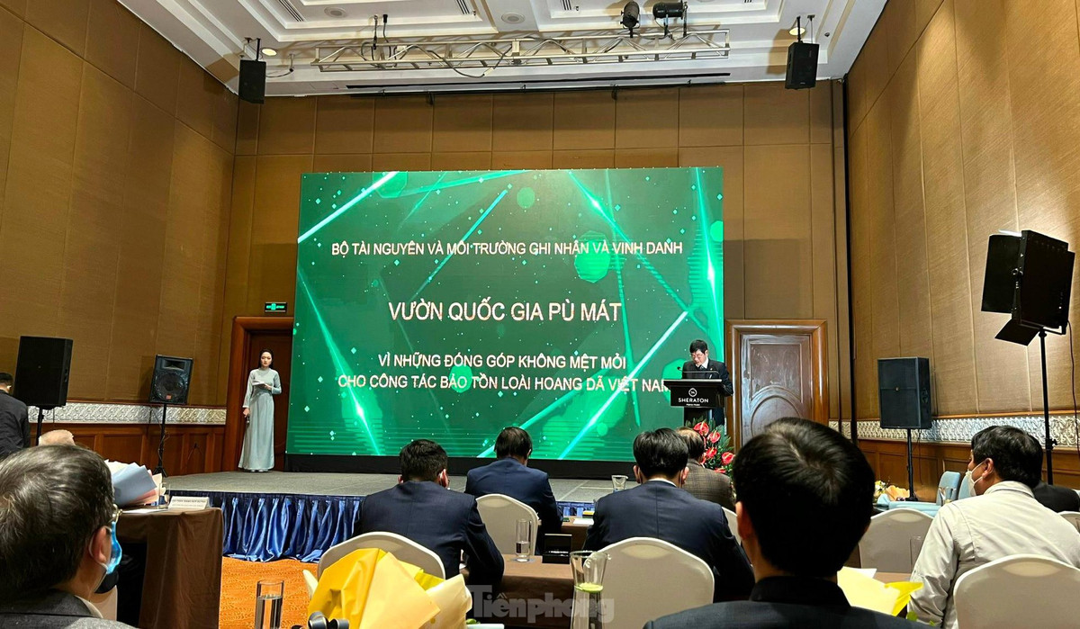 Với những nỗ lực của mình, tháng 1/2022, VQG Pù Mát được Bộ Tài nguyên và Môi trường phối hợp với Ngân hàng thế giới và Tổ chức WWF Việt Nam vinh danh có nhiều đóng góp cho công tác bảo tồn loài hoang dã giai đoạn 2010-2020