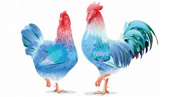 br/> Tuổi Dậu. Trời sinh những người tuổi Dậu siêng năng, chăm chỉ, không những thế rất tài giỏi, thông minh và biết cách nắm bắt cơ hội tốt để đổi đời. 