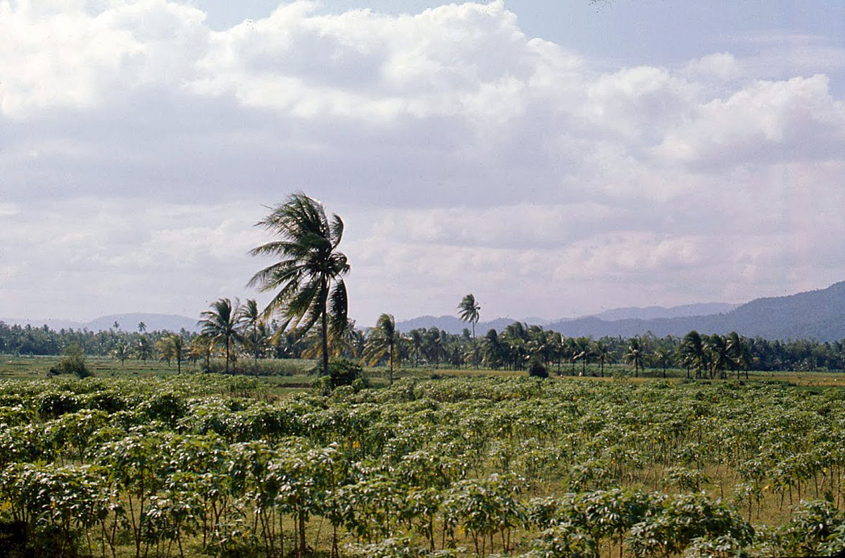 Khung cảnh nông thôn gần Quy Nhơn. Ảnh: James Speed Hensinger.