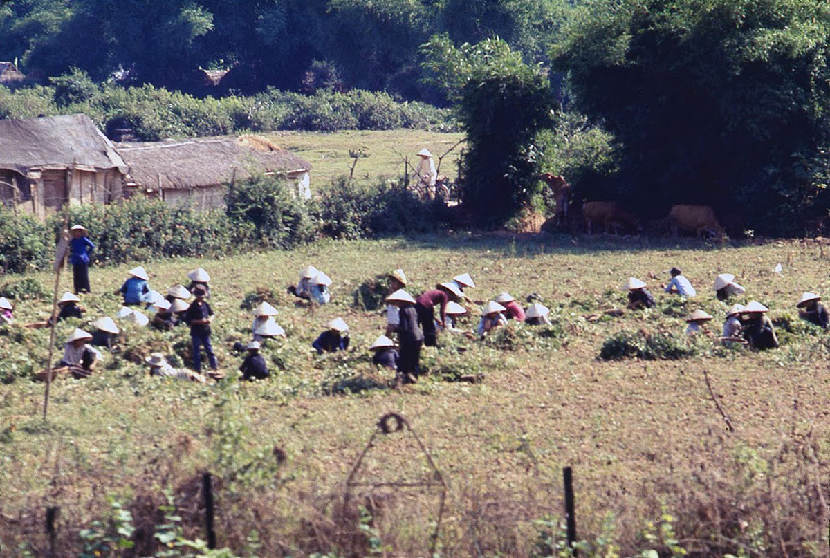 Những người nông dân trên cánh đồng. Ảnh: James Speed Hensinger.