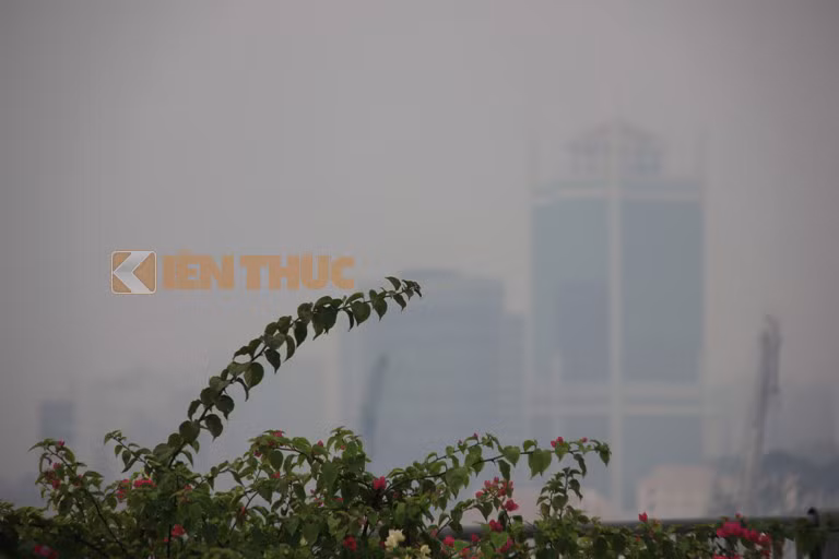 Hình ảnh tuyệt đẹp hiếm hoi khiến người đi đường không bỏ cơ hội ghi lại.