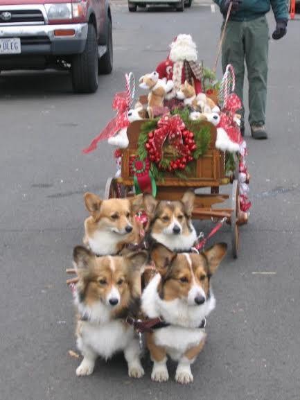 Chúng mình đi phát quà này.