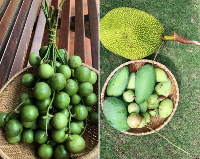 9X cai tao dat thue thanh vuon xanh mat, “chua lanh” dep nhu mo-Hinh-4