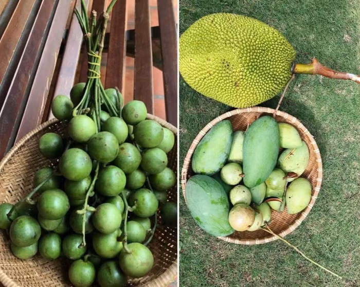 9X cai tao dat thue thanh vuon xanh mat, “chua lanh” dep nhu mo-Hinh-4