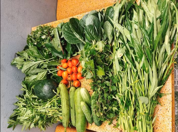 9X cai tao dat thue thanh vuon xanh mat, “chua lanh” dep nhu mo-Hinh-3