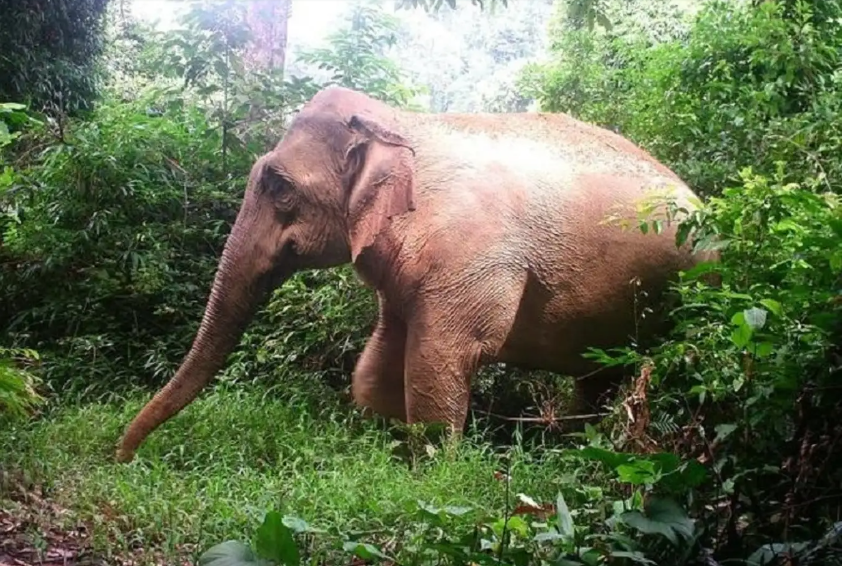 9 địa điểm không thể bỏ qua khi khám phá miền Tây xứ Nghệ - Hình 2 9 dia diem khong the bo qua khi kham pha mien Tay xu Nghe-Hinh-2