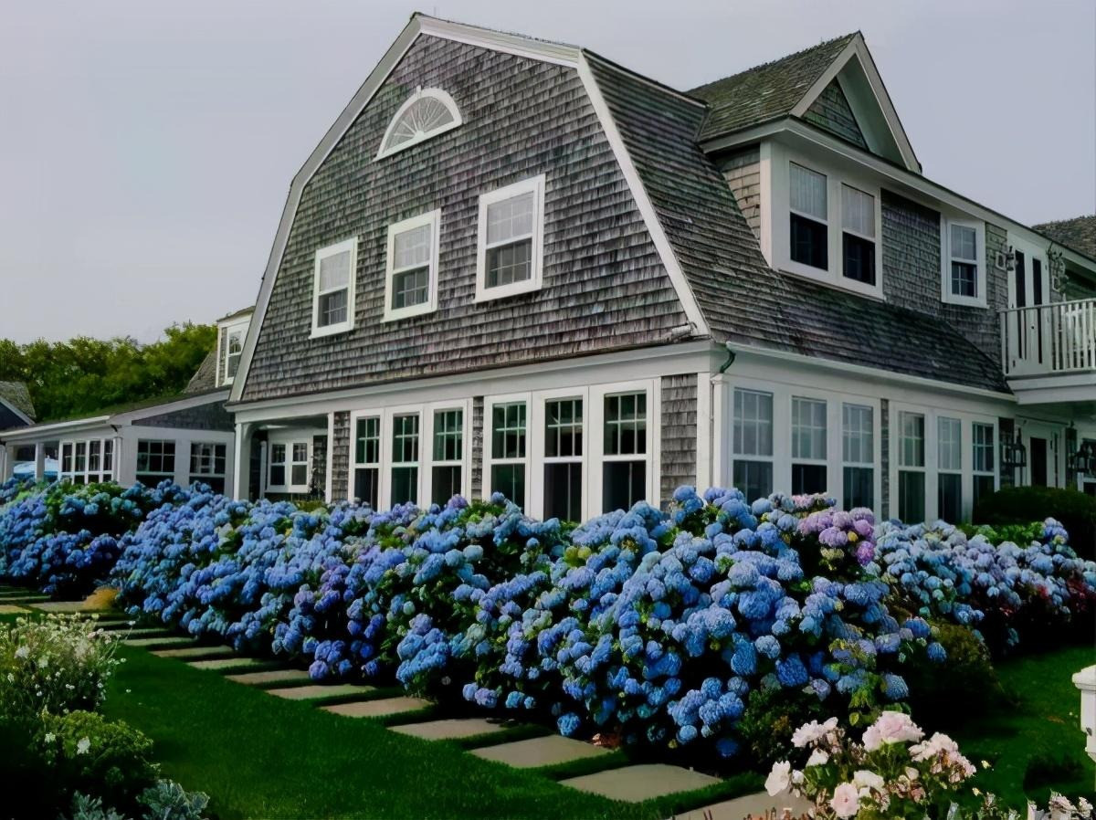 Bi quyet de hoa cam tu cau no hoa xanh biec-Hinh-9