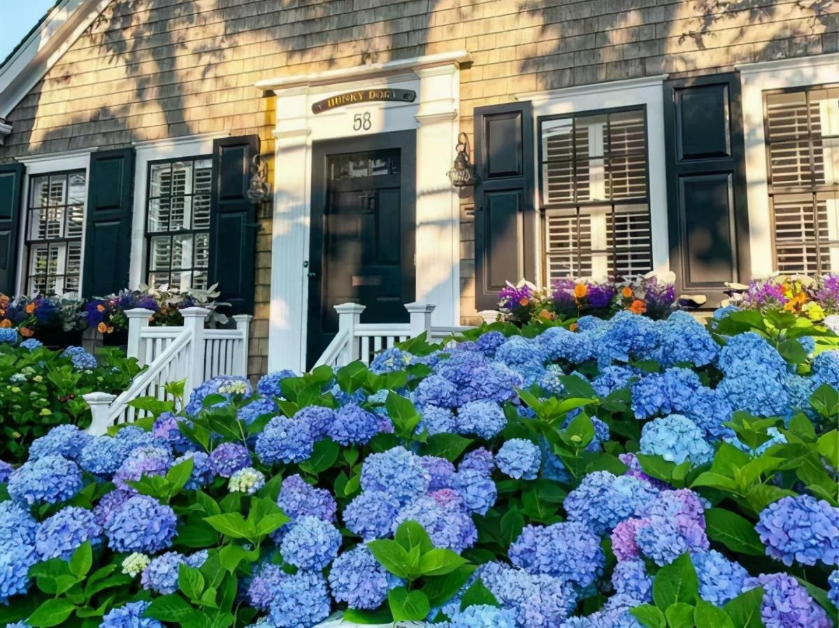 Bi quyet de hoa cam tu cau no hoa xanh biec-Hinh-3