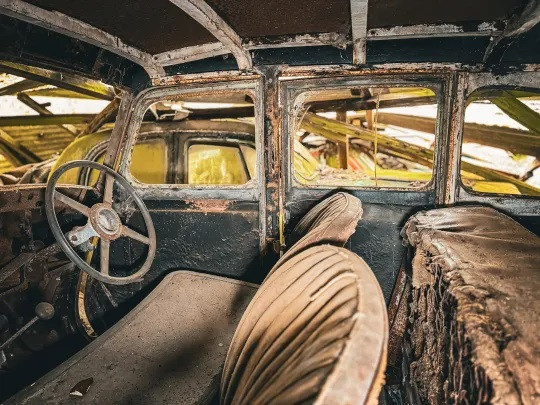 Nha tham hiem tim thay 50 chiec xe co giau giua rung-Hinh-2