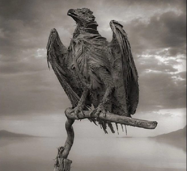 Những “bức tượng đá vôi” này được bảo quản hoàn hảo đến từng chi tiết.