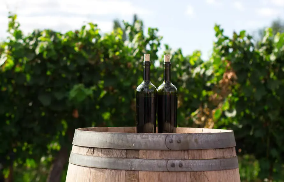 Cư dân của Vatican tiêu thụ nhiều rượu trên đầu người hơn bất kỳ nơi nào khác trên thế giới. Người dân Vatican trung bình tiêu thụ 74 lít rượu mỗi năm, gấp đôi mức tiêu thụ của các quốc gia nổi tiếng về rượu như Pháp và Ý.