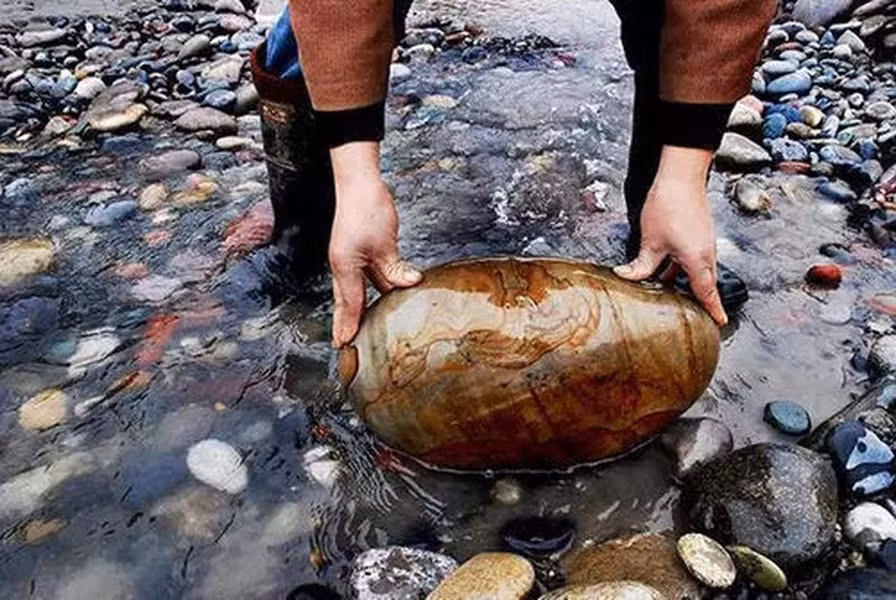 Hàng năm đến mùa đông, nước sông Dương Tử bắt đầu rút xuống sẽ để lộ ra một bãi cạn với hàng trăm nghìn viên đá. Đó cũng là khoảng thời gian dân làng Hà Gia Bá bắt đầu rộn ràng vào vụ "thu hoạch" đá.