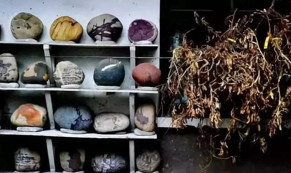 br/> Điều làm cho đá ở sông Dương tử đoạn gần Hà Gia Trang trở nên phổ biến với các nhà sưu tập là những hoa văn thú vị. Mỗi đường hoa văn dường như lại mang một câu chuyện khác nhau.