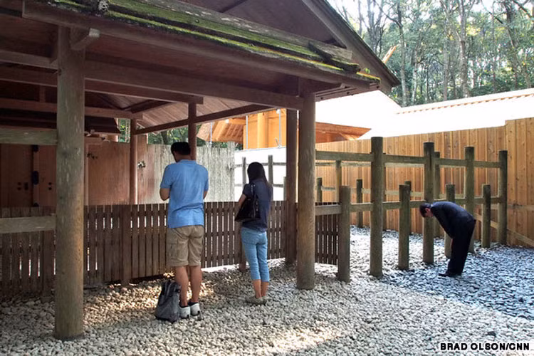 Khi đền mới được xây dựng xong, một tượng thần bằng vàng sẽ được chuyển vào đây.