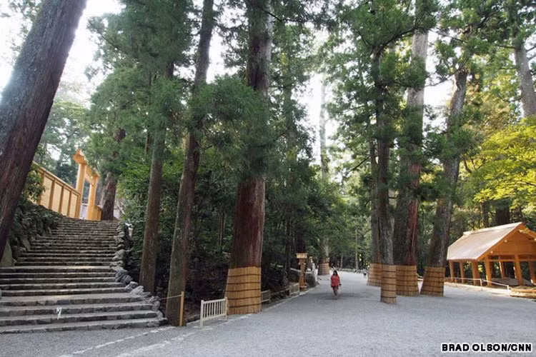 Được xây dựng vào thế kỷ thứ 5 tại tỉnh Mie, Ise Jingu là nơi tôn vinh và thờ nữ thần mặt trời – theo truyền thuyết là thủy tổ của Hoàng gia Nhật Bản.