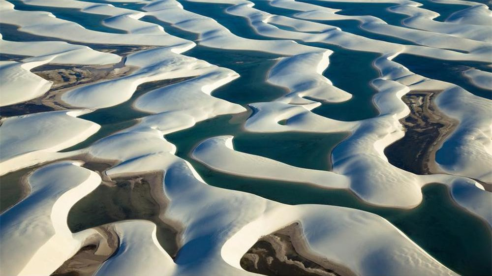 Cá, tôm có thể sống được trong các hồ nước tại sa mạc Lençóis Maranhenses. Ảnh: suitcasemag