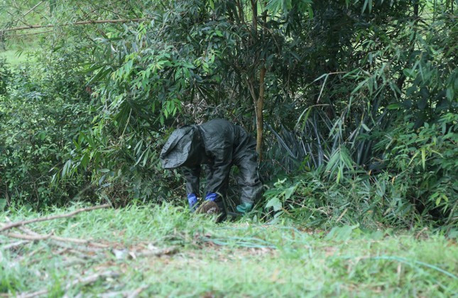 Theo người nuôi ong, loài ong vò vẽ này rất hung dữ và sẵn sàng tấn công nếu thấy người lại gần. Vì vậy trong quá trình bắt ong từ rừng về nhà nuôi phải giữ khoảng cách cần thiết để đảm bảo an toàn cho mọi người đặc biệt là trẻ con.