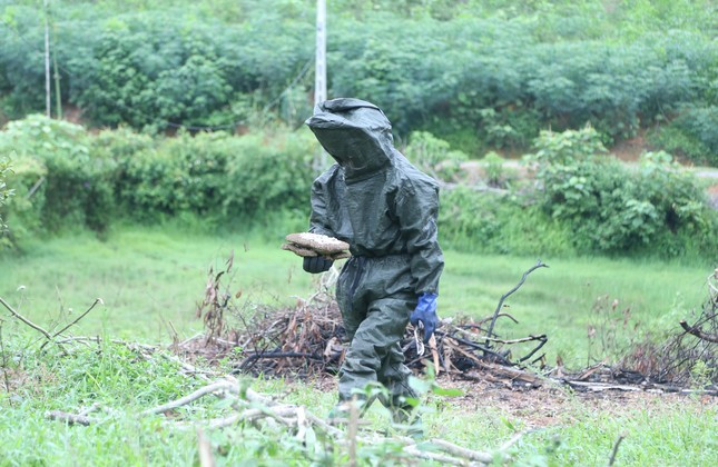 Khoảng 2-3 tháng sau khi nuôi, tổ ong có thể thu hoạch được. Từ tháng 6 - 8 là mùa thu hoạch tổ ong vẽ.