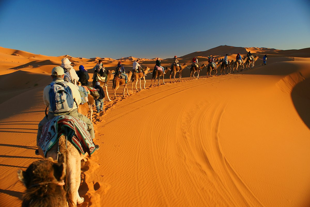 Trên bản đồ du lịch, sa mạc Sahara là một “kỳ quan” mà nhiều người muốn ghé thăm trong đời. Các tour du lịch bằng lạc đà hoặc xe dã chiến đã được mở ở nhiều nơi, mang lại trải nghiệm khó quên cho du khách ở sa mạc lớn nhất thế giới.