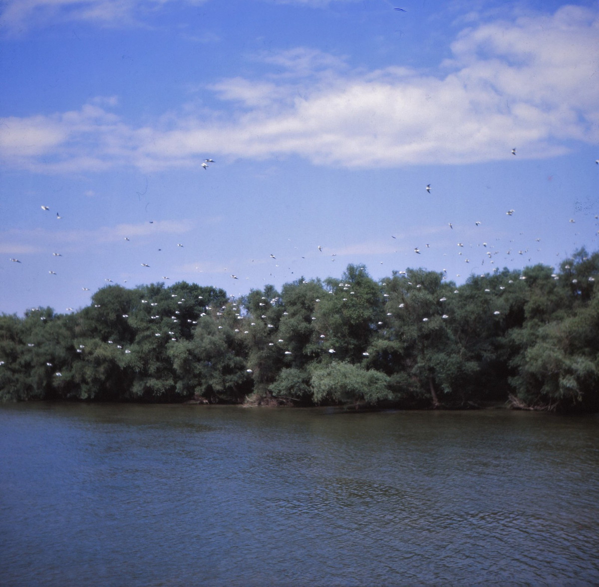 Sông Danube, khu vực biên giới Romania - Liên Xô.