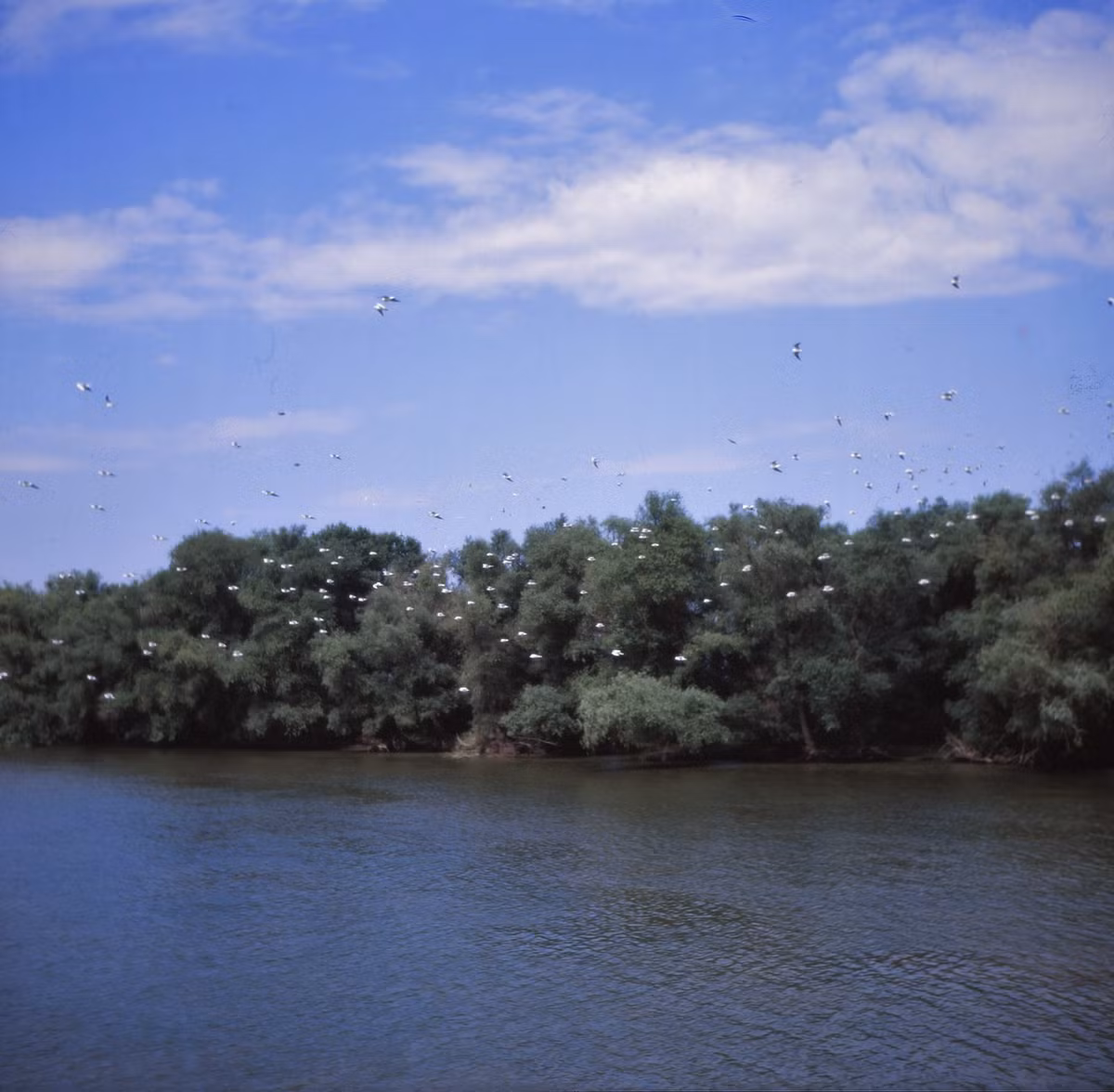 Sông Danube, khu vực biên giới Romania - Liên Xô.