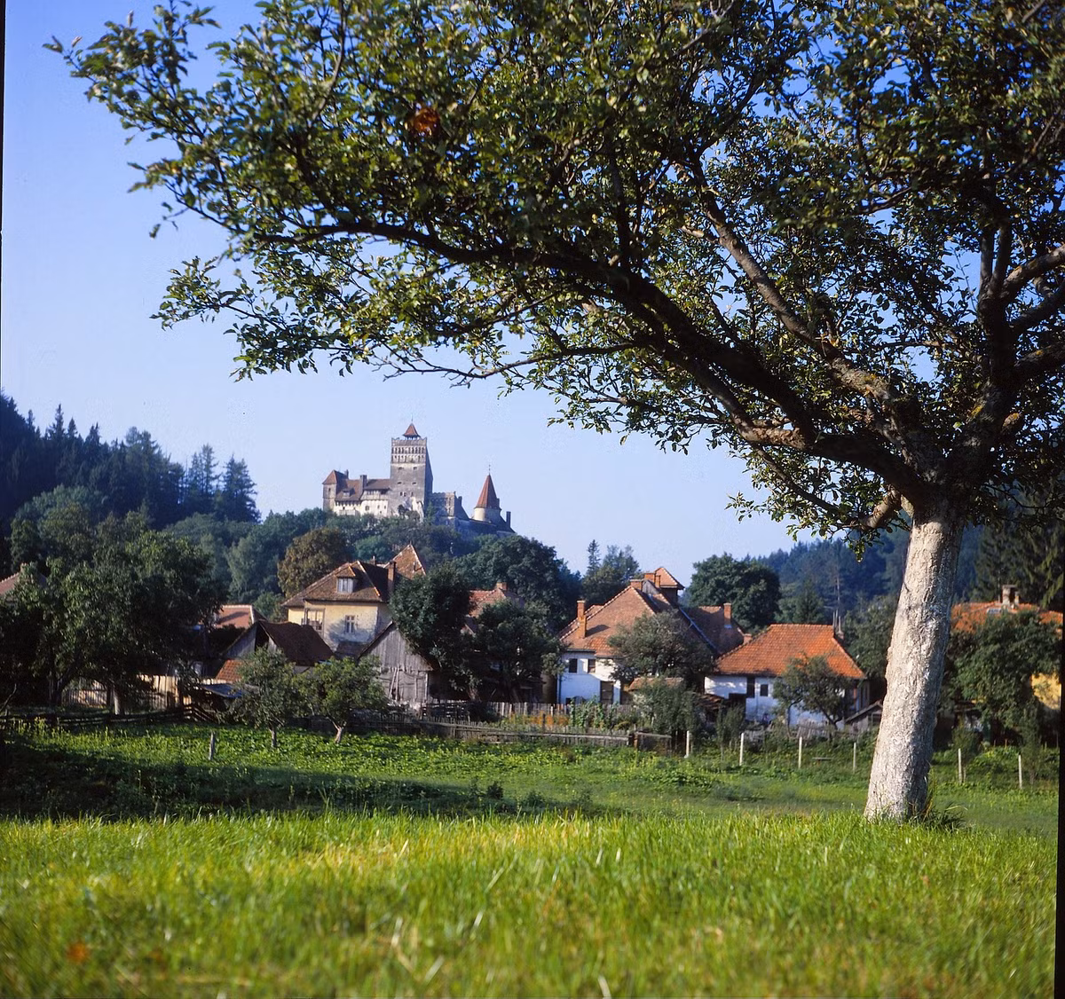 Khung cảnh đồng quê Bran với lâu đài Bran ở phía xa. Lâu đài Bran còn được gọi là lâu đài Dracula, nơi phát tích của truyền thuyết về ma cà rồng Dracula.