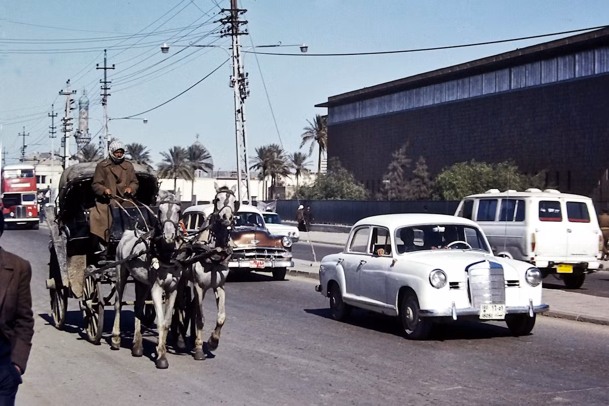 Một chiếc xe ngựa kéo hoạt động trên đường phố.