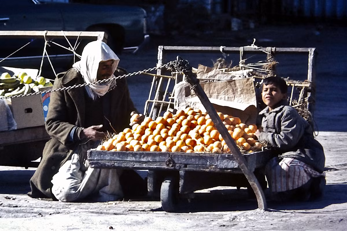 Cửa hàng bán cam bên lề đường.