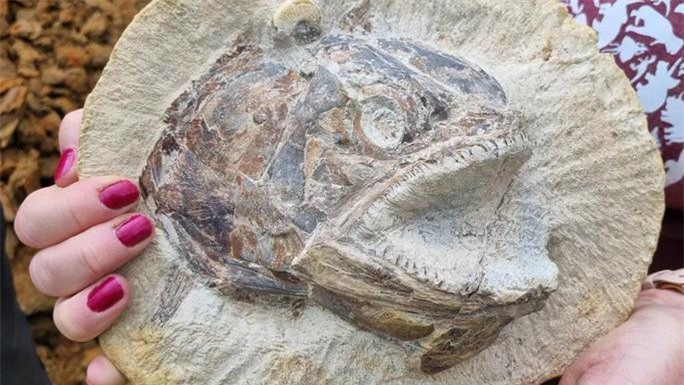 Quái vật kỷ Jura như đang nhảy ra từ quá khứ - Ảnh: Đại học Birmingham