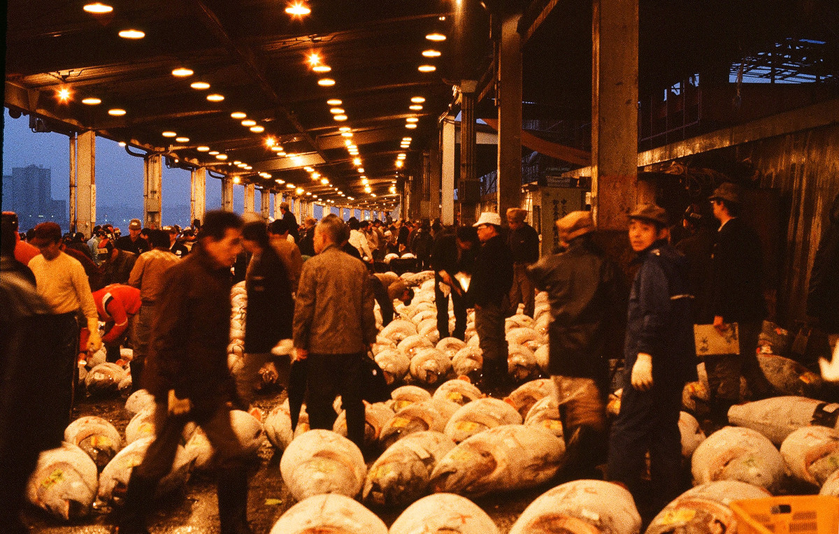 Trong chợ cá nổi tiếng Tsukiji. Thứ màu trắng nằm la liệt trên mặt đất là những con cá ngừ đại dương đông lạnh. Khu chợ này đóng cửa ngày 6/10/2018.