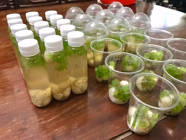 Nghe tay trai lam nua ngay, co gai thu hon trieu dong ngon o-Hinh-2