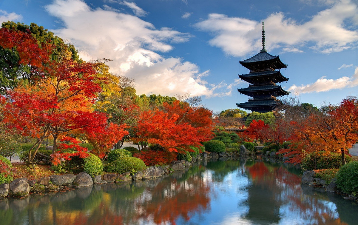 Chùa To-ji (Đông Tự) được phái Chân Ngôn lập năm 794, đầu thời Heian, là một ba ngôi chùa đầu tiên tiên được lập ở Kyoto, và là ngôi chùa duy nhất trong số đó còn tồn tại đến nay. Điểm nhấn của chùa là tòa bảo tháp bằng gỗ 5 tầng, cao 54,8 mét, là ngôi tháp bằng gỗ cao nhất ở Nhật Bản. Ảnh: TourCounsel.