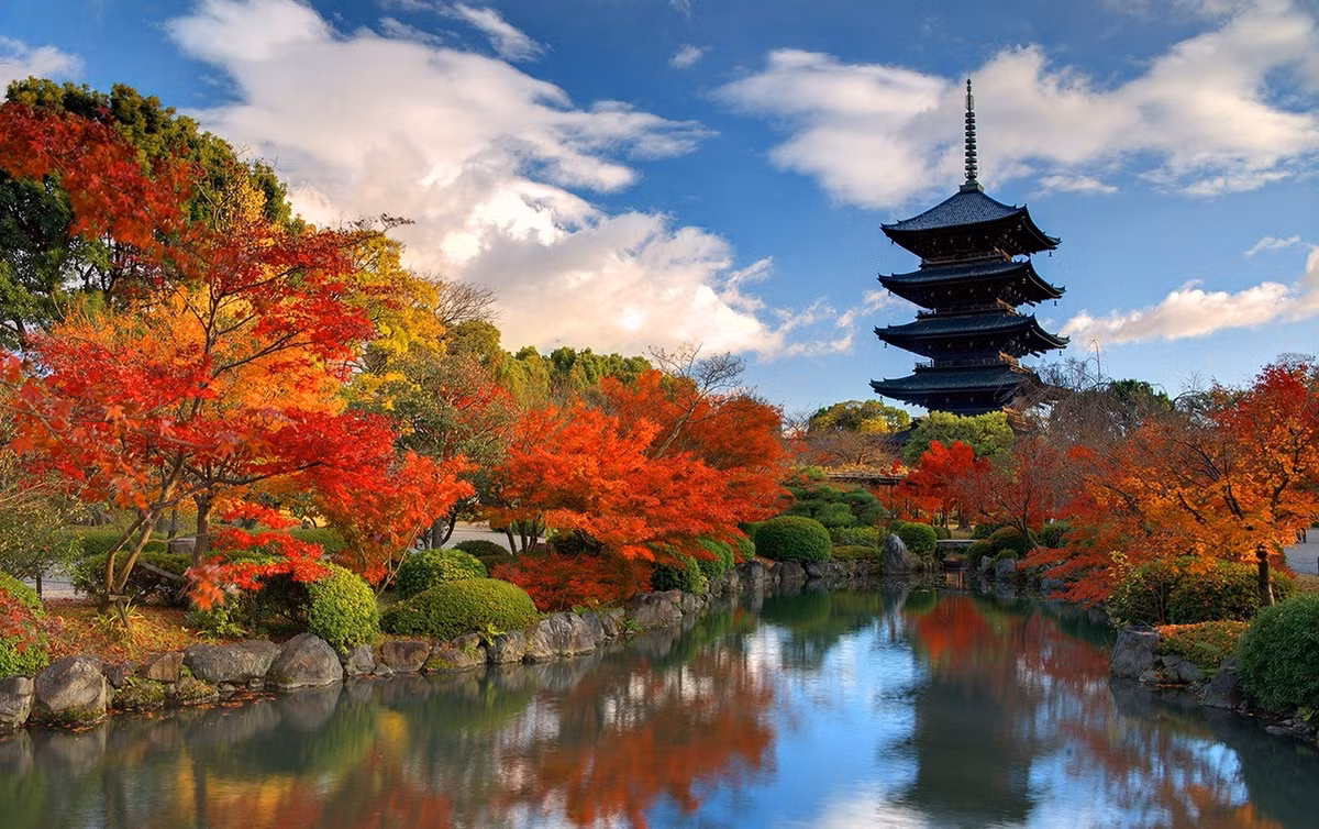 Chùa To-ji (Đông Tự) được phái Chân Ngôn lập năm 794, đầu thời Heian, là một ba ngôi chùa đầu tiên tiên được lập ở Kyoto, và là ngôi chùa duy nhất trong số đó còn tồn tại đến nay. Điểm nhấn của chùa là tòa bảo tháp bằng gỗ 5 tầng, cao 54,8 mét, là ngôi tháp bằng gỗ cao nhất ở Nhật Bản. Ảnh: TourCounsel.