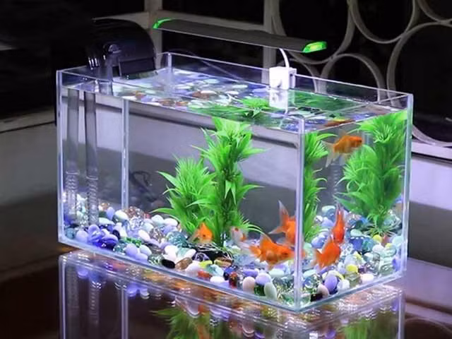 Và để cho bể cá phong thủy trong nhà bạn đem đến tài lộc, may mắn thì phải kết hợp hài hòa cả 5 yếu tố nói trên. Phong thủy quy định "nhất vị nhị hướng" tức là vị trí phải được đặt đúng, đặt chuẩn thì mới tính đến hướng, “chính thần hạ thủy”, gây ra cảnh tán gia bại sản. Hơn nữa, vì bể cá mang tính động, sẽ ảnh hưởng đến sự trang nghiêm, thanh tịnh nơi ban thờ.