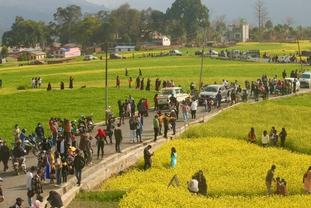 Noi TikToker gay thiet hai hang chuc nghin USD cua nguoi dan-Hinh-2