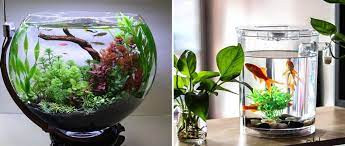  Đặt bể cá trong hoặc cạnh nhà vệ sinh. Theo phong thủy Ngũ hành tương khắc thì việc đặt hồ cá gần nhà vệ sinh hoặc các góc tối ở trong nhà sẽ dễ hội tụ các tà khí gây hại cho gia chủ, đem đến bệnh tật. Chính vì thế mà bạn cần lưu ý tránh nhé.