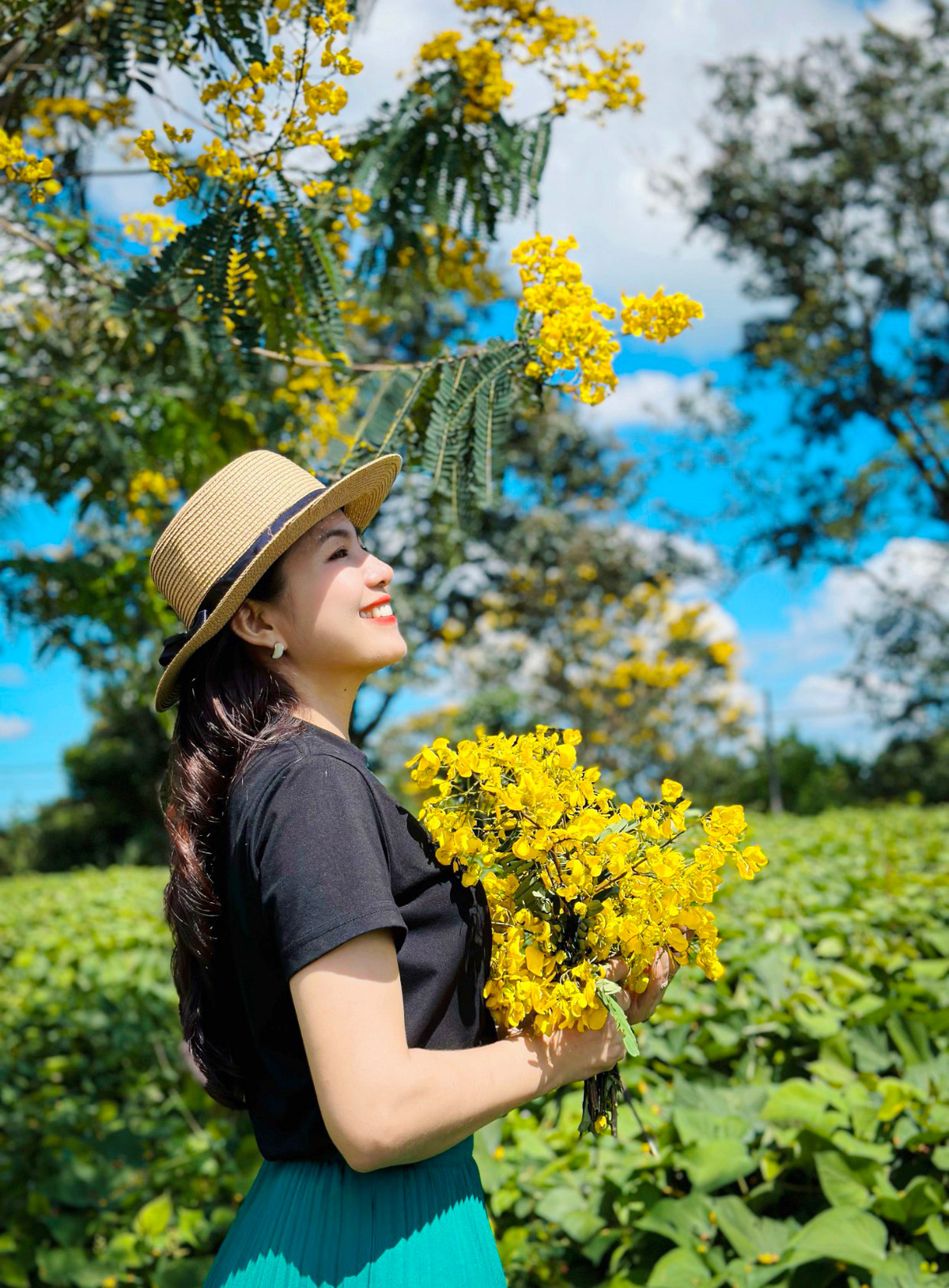 Ngam hoa muong vang tren doi che tram tuoi o Gia Lai-Hinh-6