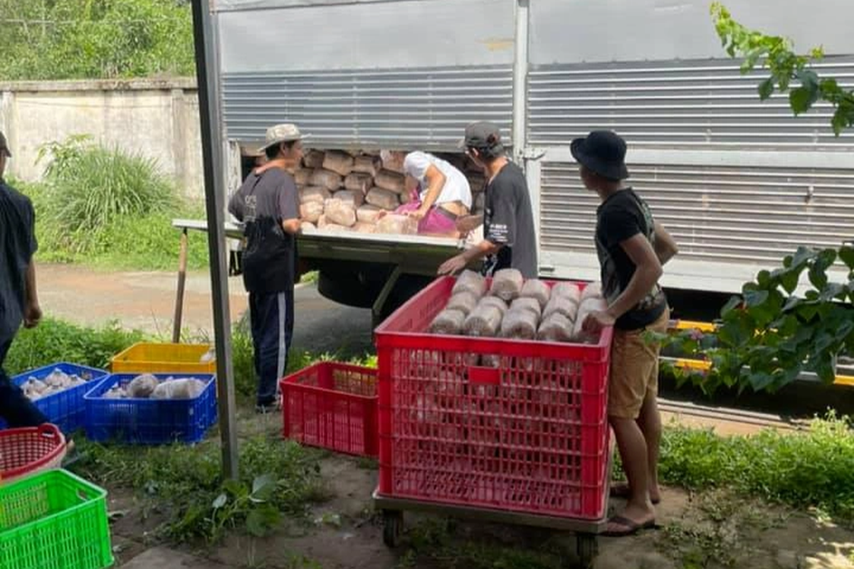 Cam giay to nha lay tien trong nam, chang trai thu hon 3 ty dong-Hinh-2