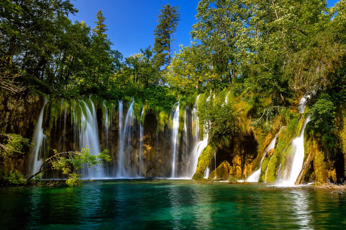 Tô điểm cho các kiến tạo địa chất là hệ thực vật rất phong phú và tươi tốt, khiến cảnh sắc trở nên mê hoặc như một vườn địa đàng nơi hạ giới. Ảnh: Wikipedia.