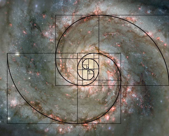 Day so Fibonacci: Bi an cua vu tru hay chi la su trung hop?-Hinh-3