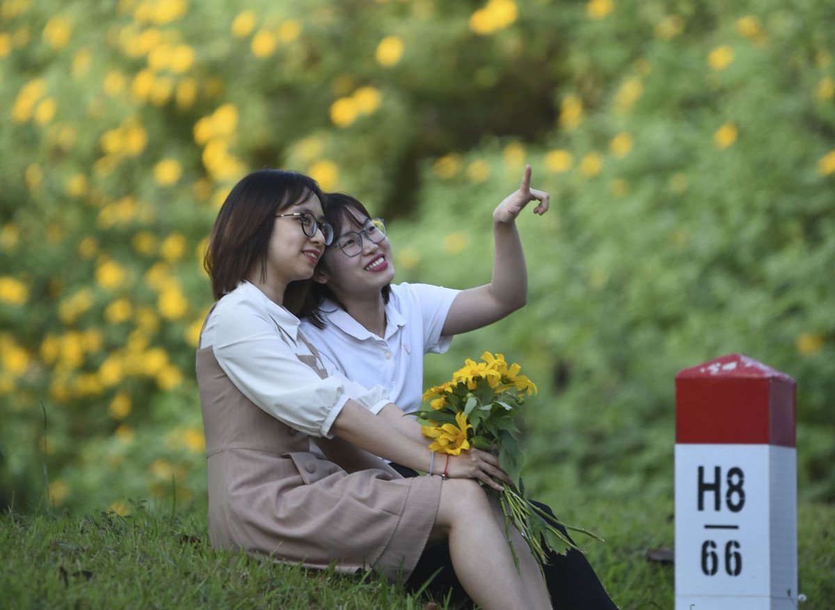 Những thiếu nữ check-in với hoa dã quỳ.