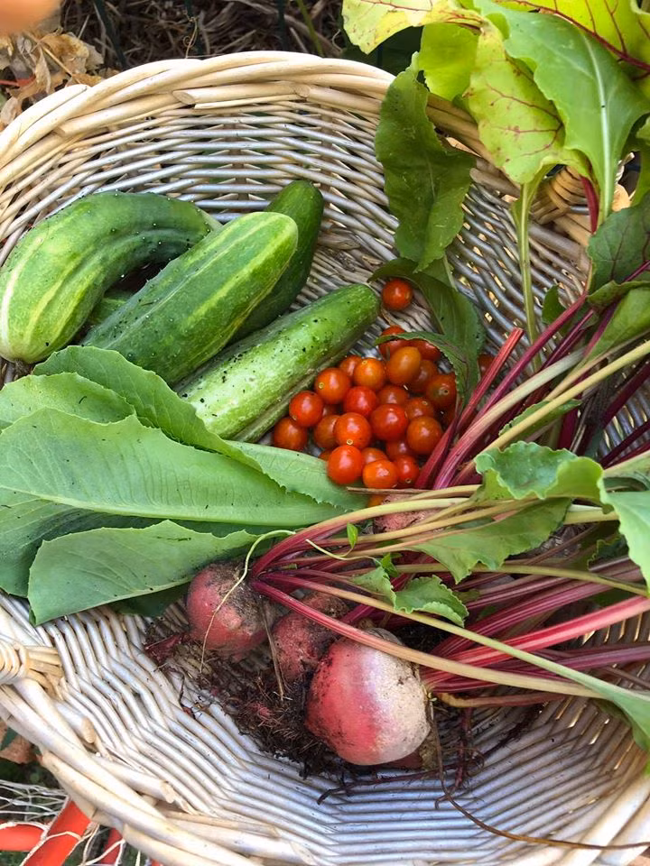 Gia dinh 7 nguoi trong rau qua, nuoi ga sach, song yen binh o ngoai o-Hinh-9