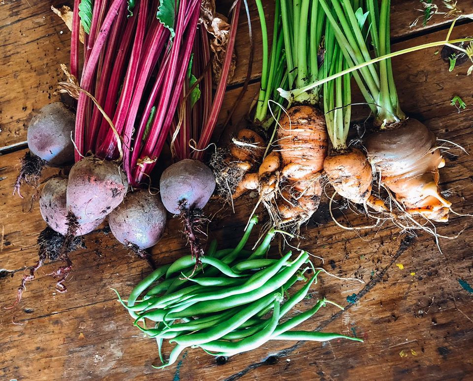 Gia đình 7 người trồng rau quả, nuôi gà sạch, sống yên bình ở ngoại ô - Hình 3 Gia dinh 7 nguoi trong rau qua, nuoi ga sach, song yen binh o ngoai o-Hinh-3