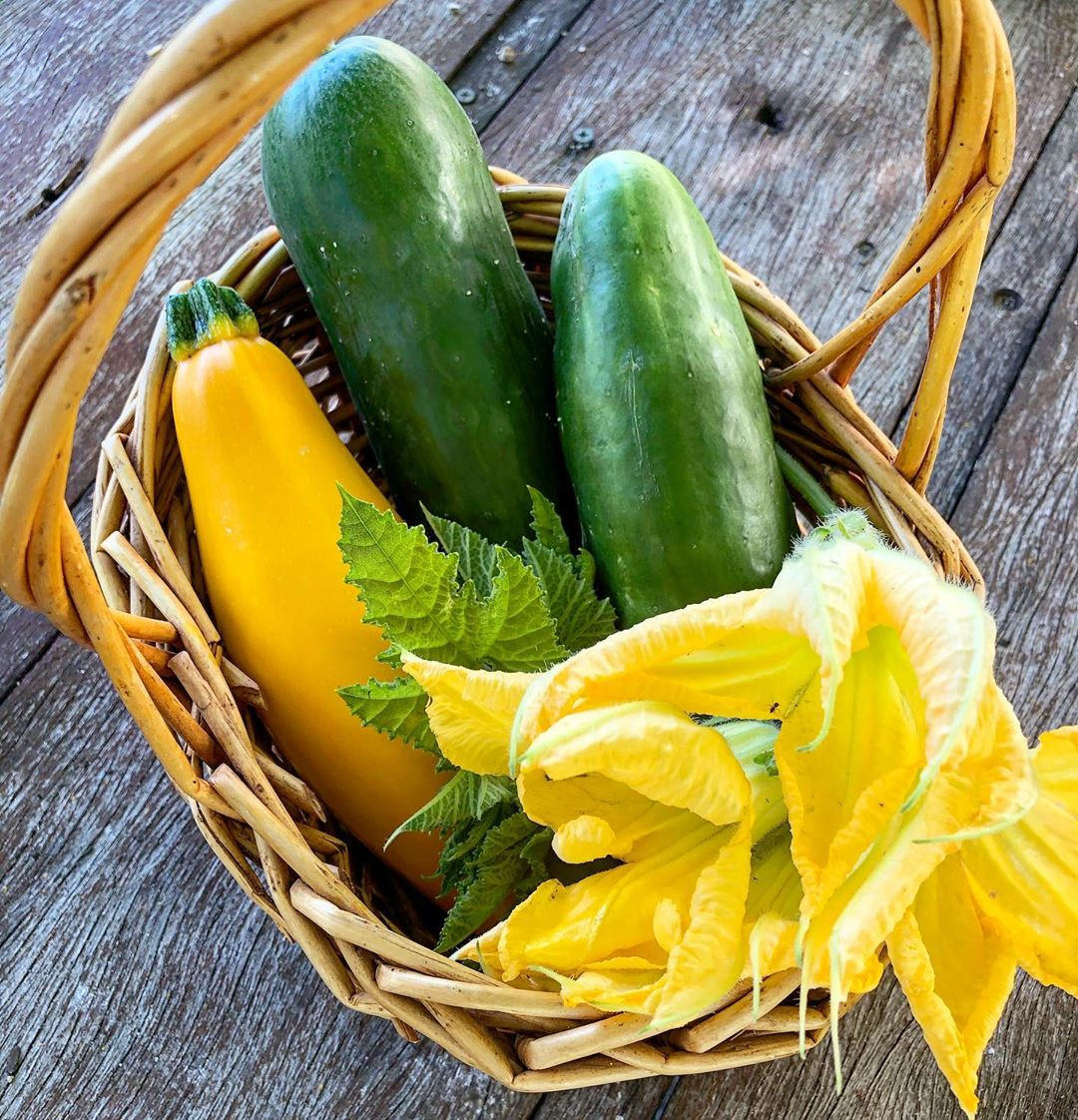 Gia đình 7 người trồng rau quả, nuôi gà sạch, sống yên bình ở ngoại ô - Hình 11 Gia dinh 7 nguoi trong rau qua, nuoi ga sach, song yen binh o ngoai o-Hinh-11