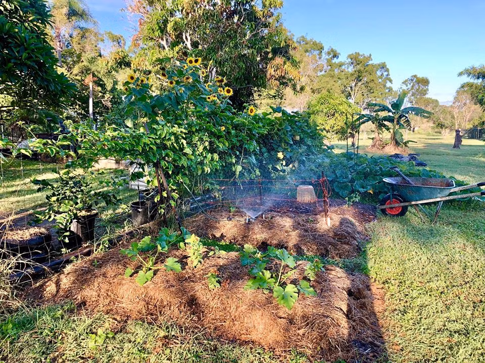 Gia dinh 7 nguoi trong rau qua, nuoi ga sach, song yen binh o ngoai o-Hinh-17