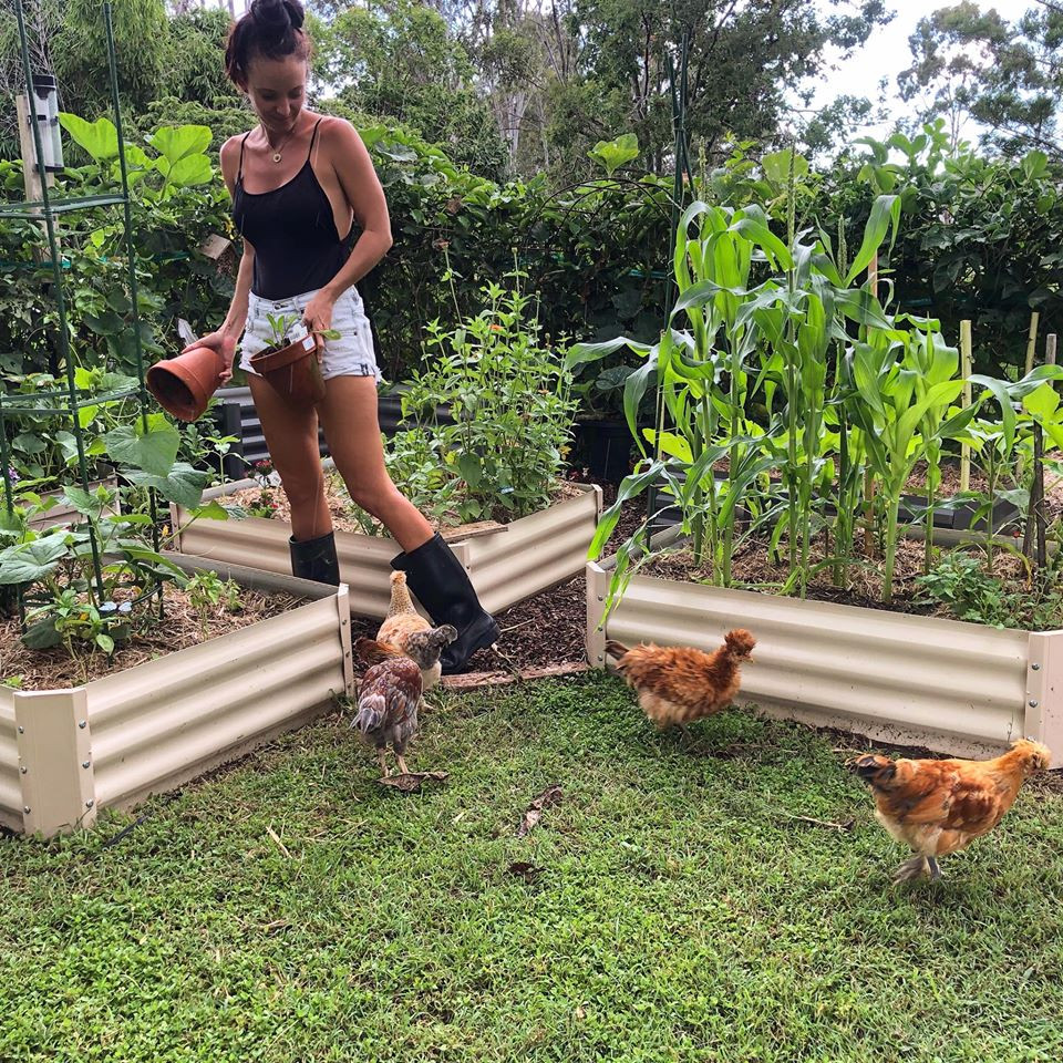 Gia đình 7 người trồng rau quả, nuôi gà sạch, sống yên bình ở ngoại ô - Hình 2 Gia dinh 7 nguoi trong rau qua, nuoi ga sach, song yen binh o ngoai o-Hinh-2