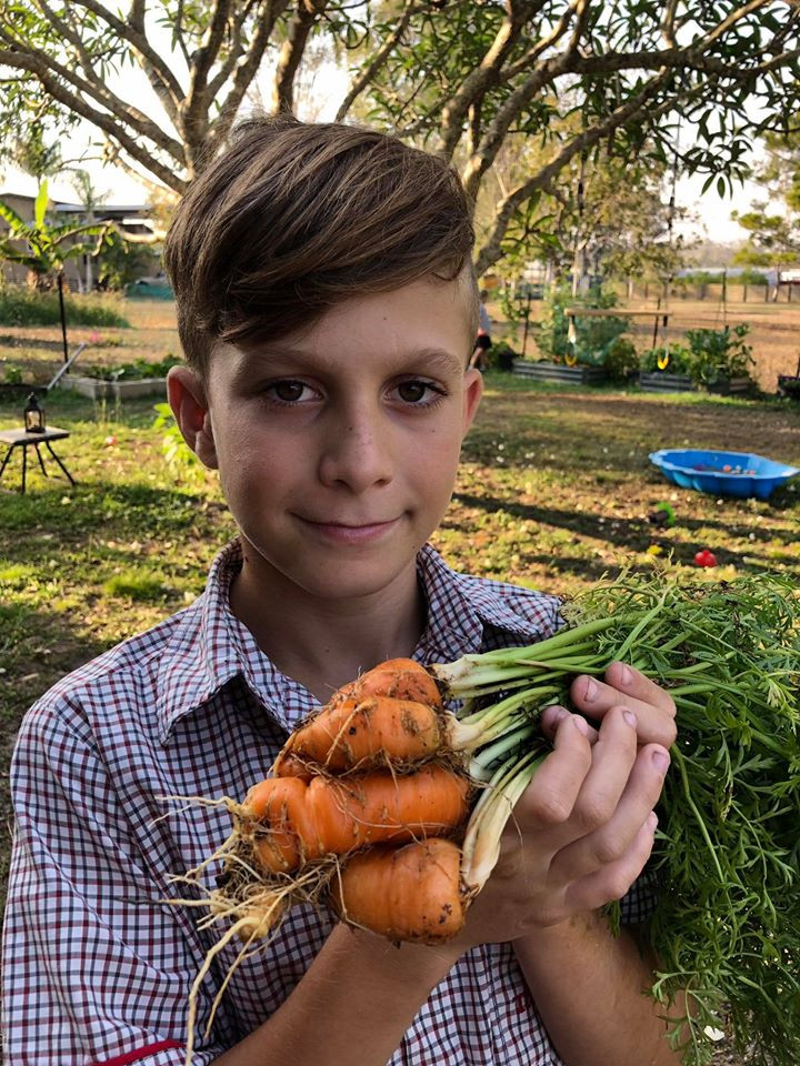 Gia đình 7 người trồng rau quả, nuôi gà sạch, sống yên bình ở ngoại ô - Hình 8 Gia dinh 7 nguoi trong rau qua, nuoi ga sach, song yen binh o ngoai o-Hinh-8