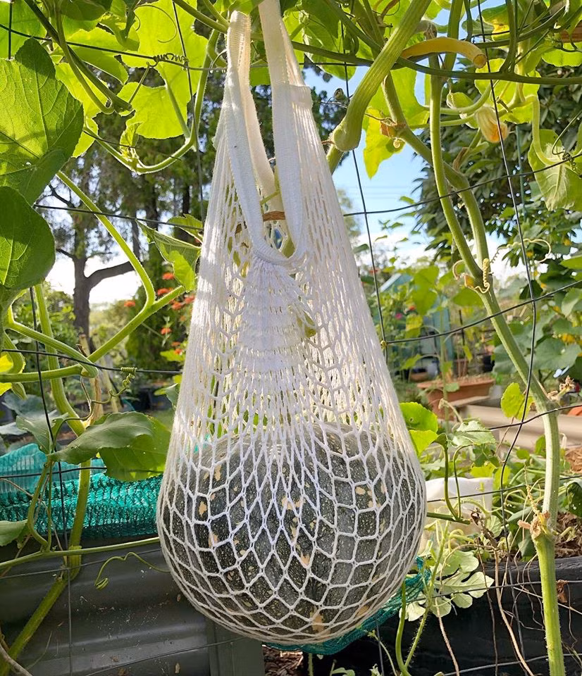 Gia dinh 7 nguoi trong rau qua, nuoi ga sach, song yen binh o ngoai o-Hinh-19