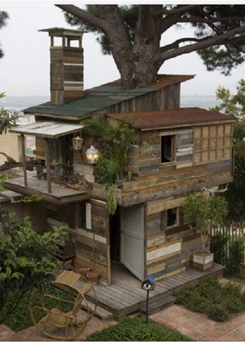 Lối kiến trúc nhà dựa trên cây cột là thân cây cổ thụ lâu năm.